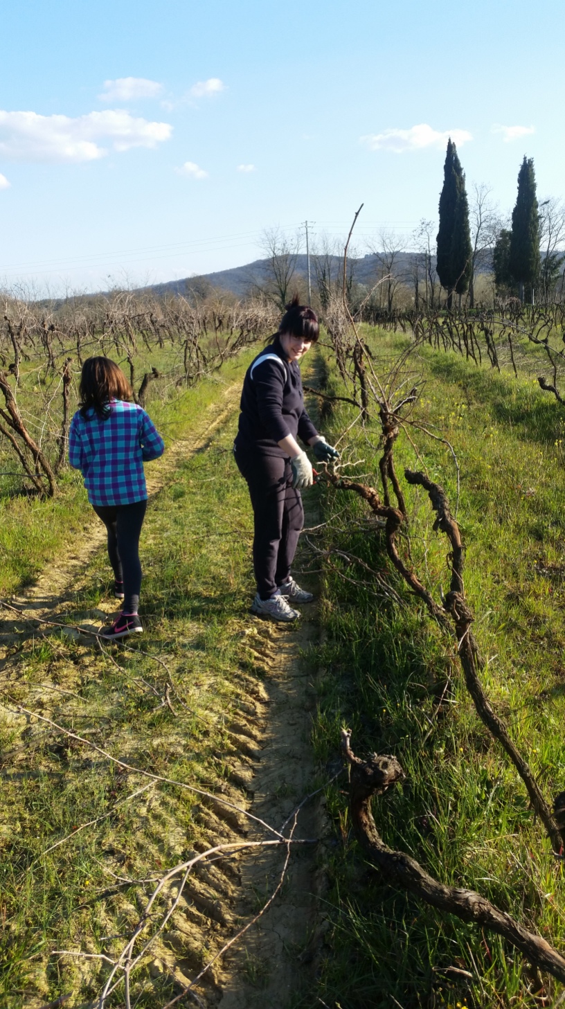 Marusca is working in the vineyard