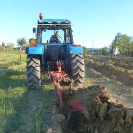 Step 3 Remove the plant vines with tractor - May 2016 - Cappannelle - Castiglion Fibocchi
