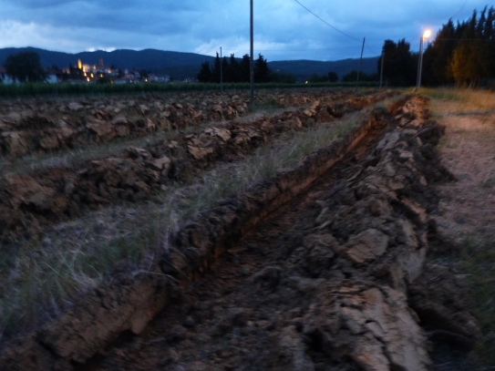 Step 4 The ground after the first plowing - June 2016 - Cappannelle - Castiglion Fibocchi