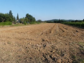 ground ready for plowing