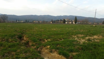 Land with green grass