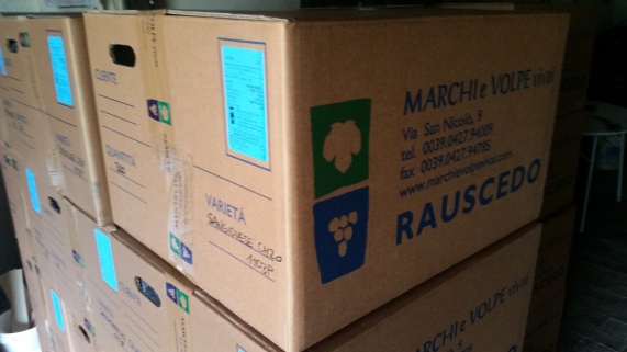 Boxes of Marchi & Volpe