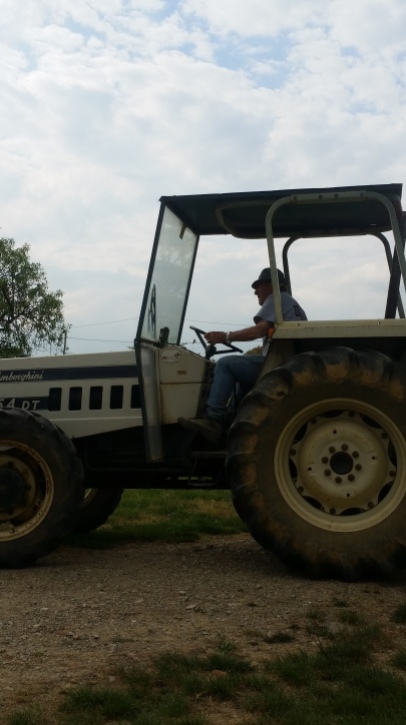 Renato in the tractor